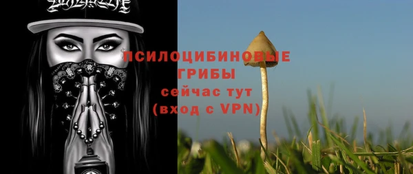 mix Арсеньев