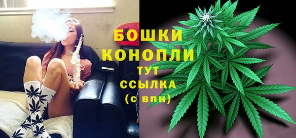 спайс Аркадак