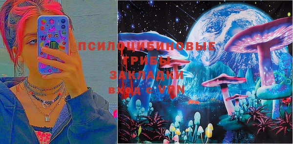 спайс Аркадак