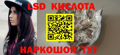 дмт Кандалакша