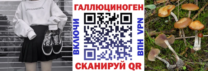 магазин продажи наркотиков  Новороссийск  Галлюциногенные грибы мухоморы 