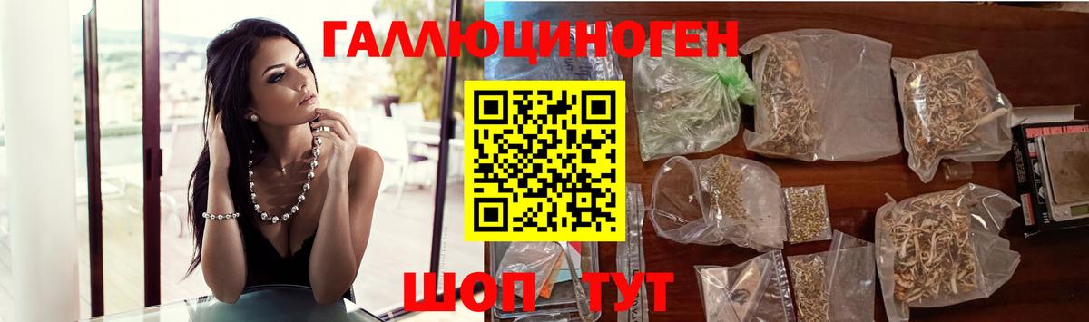 Псилоцибиновые грибы GOLDEN TEACHER  Вход с VPN  Галлюциногенные грибы Cubensis  Новороссийск 